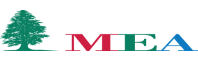 Middle East Airlines